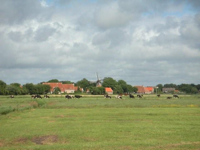 Vakantiehuizen Terschelling